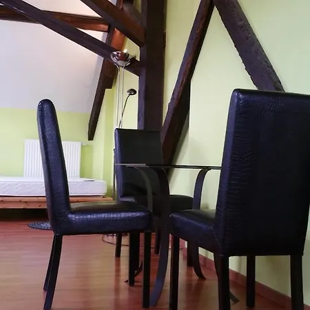 Grand Climatise En Combles A 2 Pas De La Gare De Apartmán *