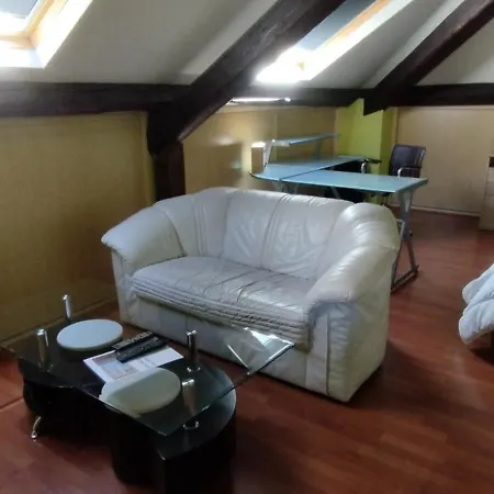 Grand Climatise En Combles A 2 Pas De La Gare De Apartmán Nancy