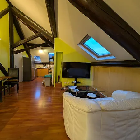 Grand Climatise En Combles A 2 Pas De La Gare De * Nancy