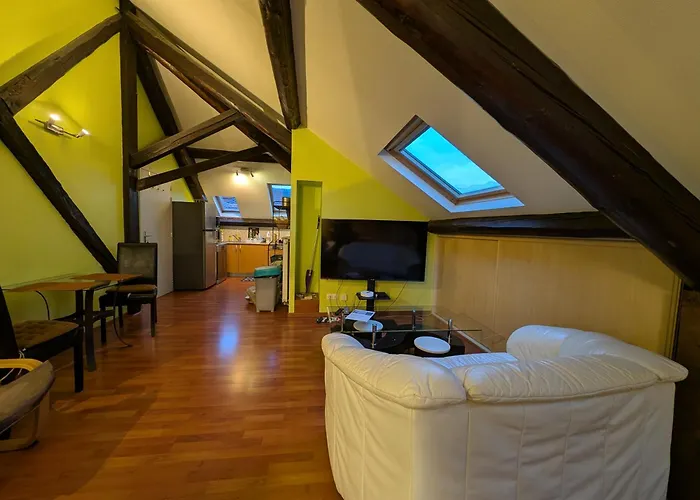 Grand Climatise En Combles A 2 Pas De La Gare De * Nancy